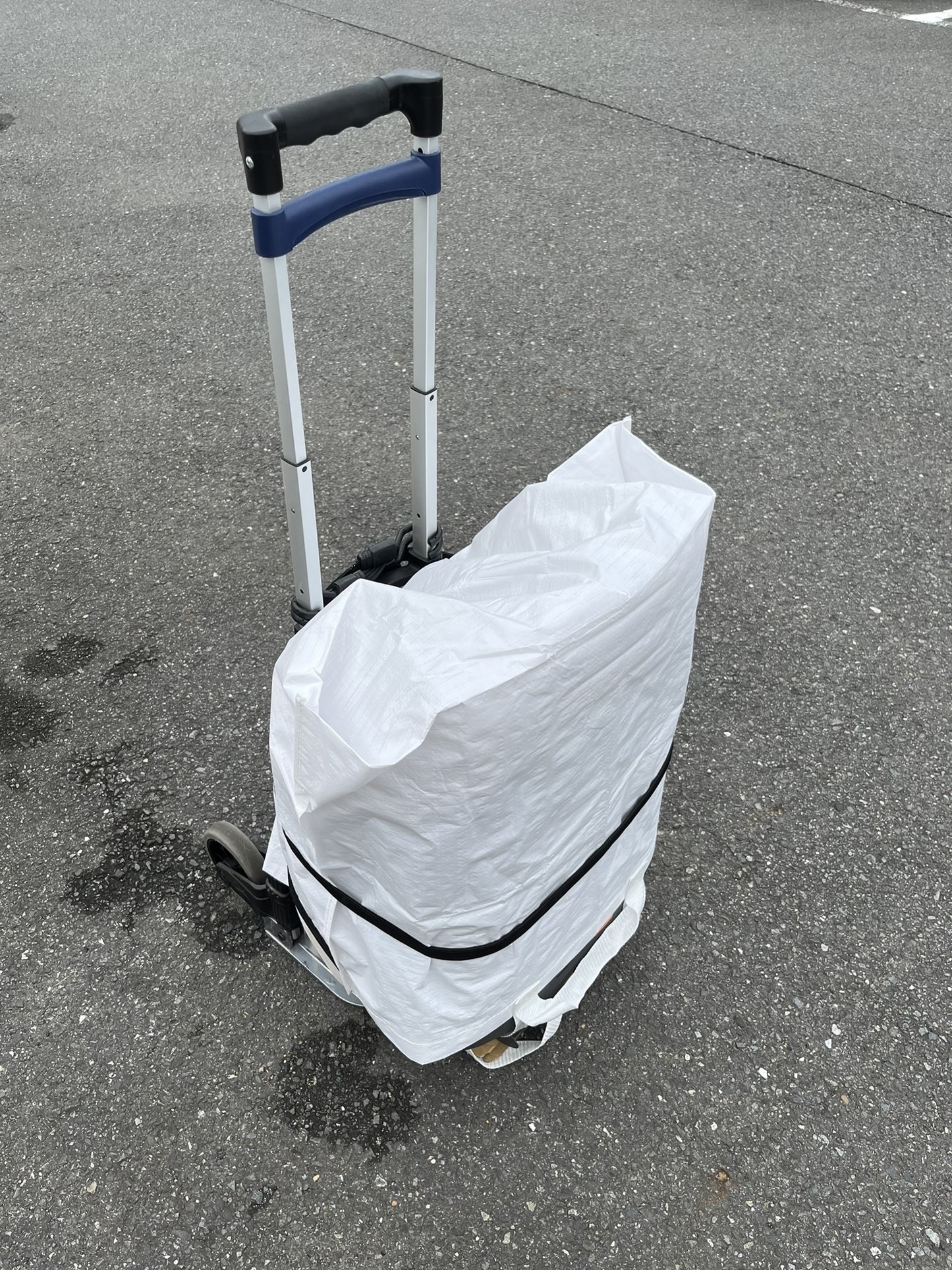 キャリーカートに乗せた様子