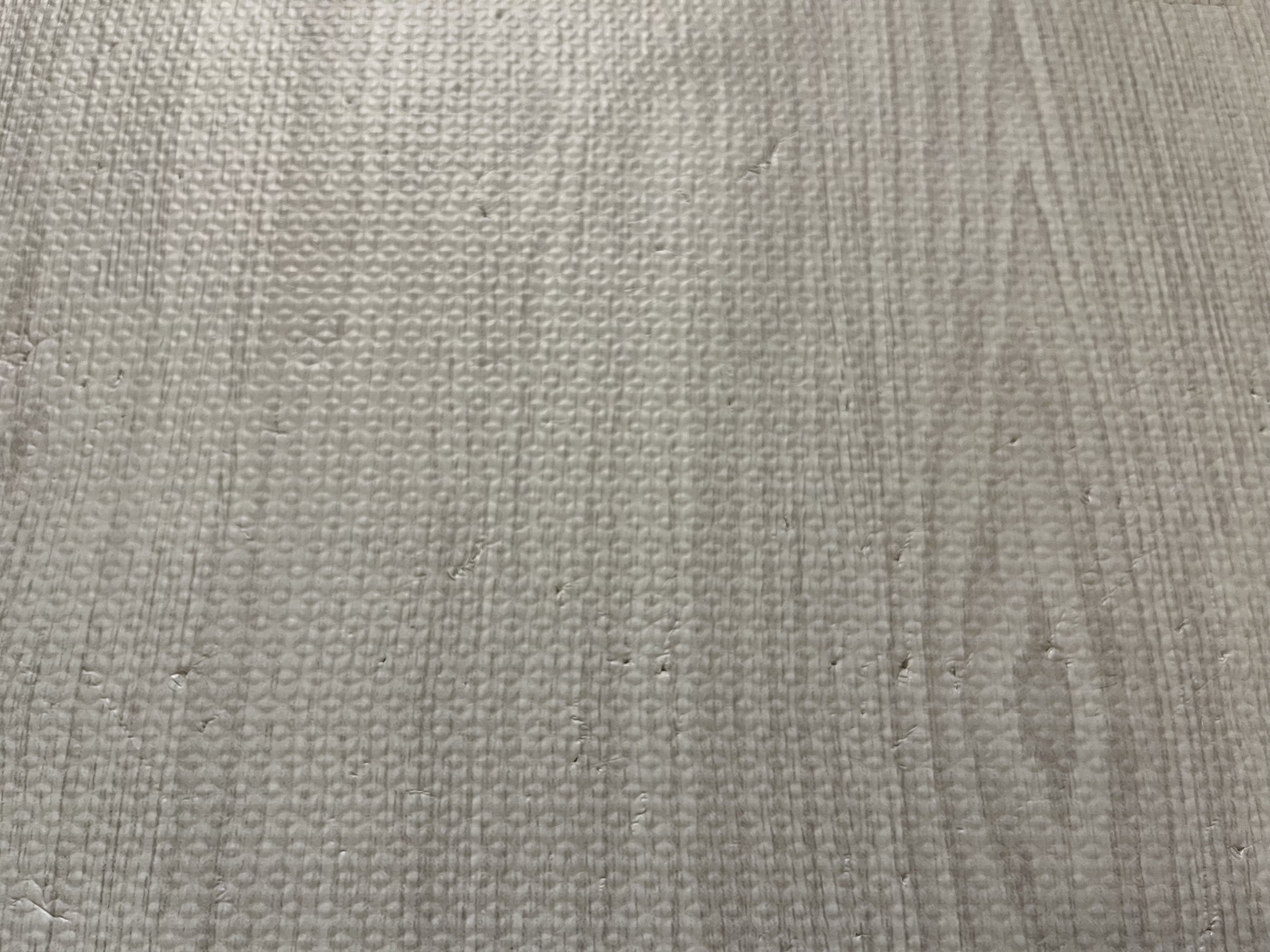 爪跡がうっすら残る部分の拡大写真